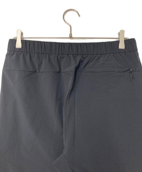 THE NORTH FACE（ザ ノース フェイス）THE NORTH FACE (ザ ノース フェイス) APEX Flex Pant ブラック サイズ:Lの古着・服飾アイテム