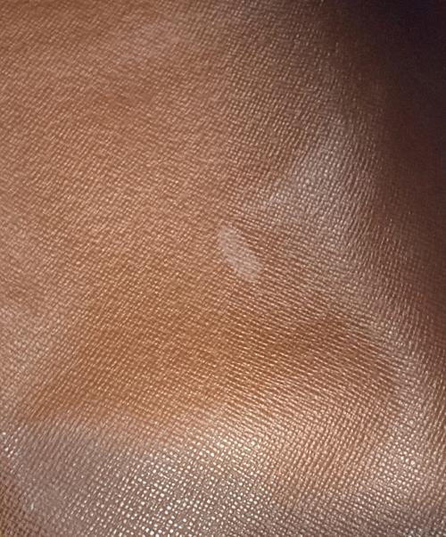 LOUIS VUITTON（ルイ ヴィトン）LOUIS VUITTON (ルイ ヴィトン) パピヨンGM ハンドバッグ ブラウンの古着・服飾アイテム