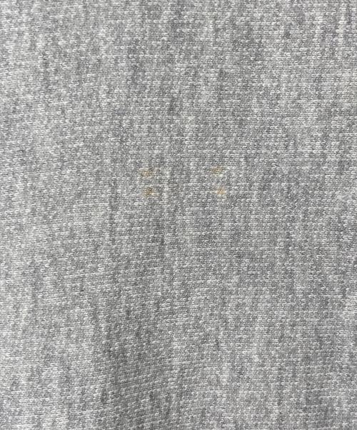 Champion REVERSE WEAVE（チャンピオン リバース ウィーブ）Champion REVERSE WEAVE (チャンピオン リバース ウィーブ) クルーネックスウェットシャツ TRUE TO ARCHIVES グレー サイズ:MEDIUMの古着・服飾アイテム