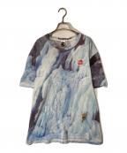 SUPREME×THE NORTH FACEシュプリーム×ザ ノース フェイス）の古着「Ice Climb Tee」｜スカイブルー