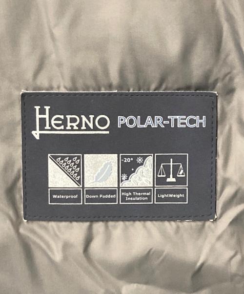 HERNO（ヘルノ）HERNO (ヘルノ) フーデッドダウンコート グレー サイズ:40の古着・服飾アイテム