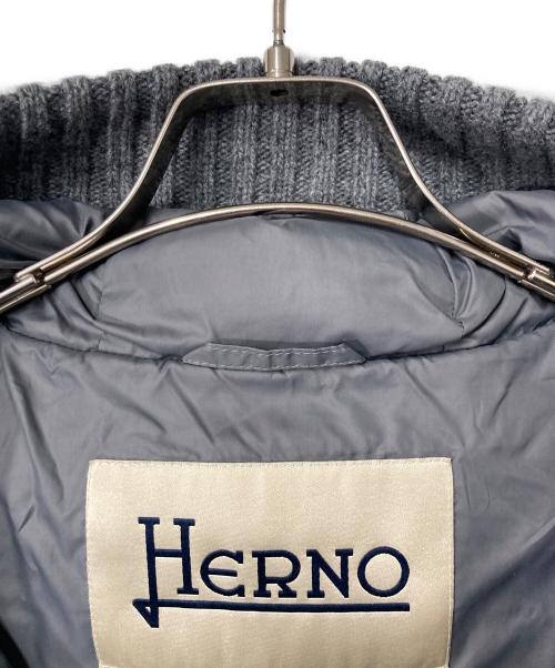 HERNO（ヘルノ）HERNO (ヘルノ) フーデッドダウンコート グレー サイズ:40の古着・服飾アイテム