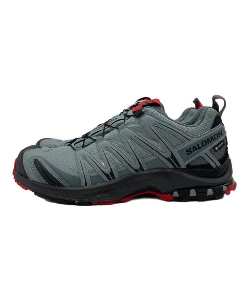 SALOMON（サロモン）SALOMON (サロモン) Xa Pro 3D Gtx グレー サイズ:UK6.5 / EUR40 / USA7 / JP25の古着・服飾アイテム