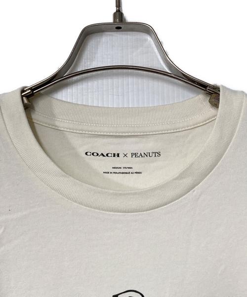COACH（コーチ）COACH (コーチ) SNOOPY (スヌーピー) スヌーピー シグネチャー スクエア Tシャツ アイボリー サイズ:Mの古着・服飾アイテム
