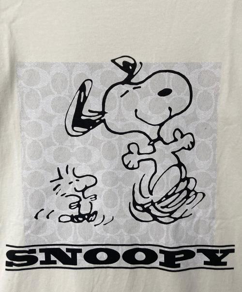 COACH（コーチ）COACH (コーチ) SNOOPY (スヌーピー) スヌーピー シグネチャー スクエア Tシャツ アイボリー サイズ:Mの古着・服飾アイテム