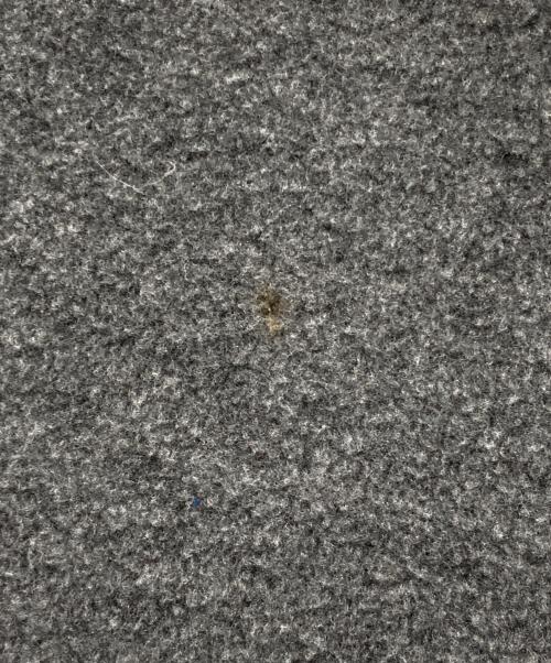 Patagonia（パタゴニア）Patagonia (パタゴニア) メンズ・ライトウェイト・シンチラ・スナップT・プルオーバー グレー サイズ:Mの古着・服飾アイテム