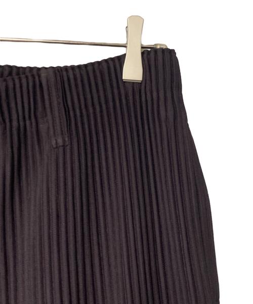 HOMME PLISSE ISSEY MIYAKE（オム プリッセ イッセイ ミヤケ）HOMME PLISSE ISSEY MIYAKE (オム プリッセ イッセイ ミヤケ) RB COLOR PALETTE 2 プリーツパンツ ブラウン サイズ:2の古着・服飾アイテム