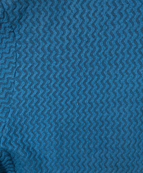 Patagonia（パタゴニア）Patagonia (パタゴニア) R1エアフルジップフーディー ブルー サイズ:Ｍの古着・服飾アイテム