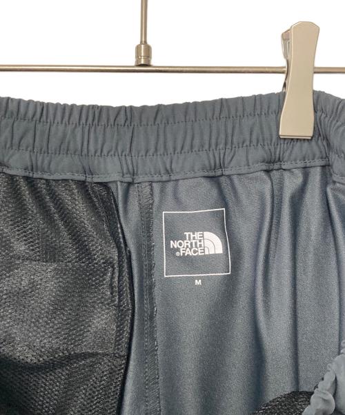 THE NORTH FACE（ザ ノース フェイス）THE NORTH FACE (ザ ノース フェイス) Alpine Light Pant グレー サイズ:Mの古着・服飾アイテム