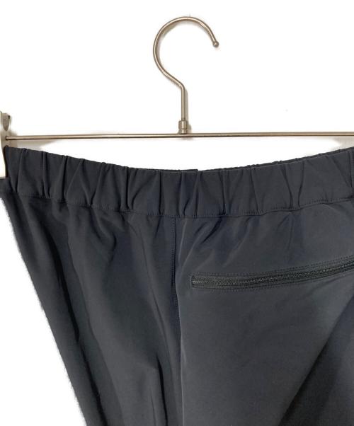 THE NORTH FACE（ザ ノース フェイス）THE NORTH FACE (ザ ノース フェイス) Alpine Light pants ブラック サイズ:Lの古着・服飾アイテム