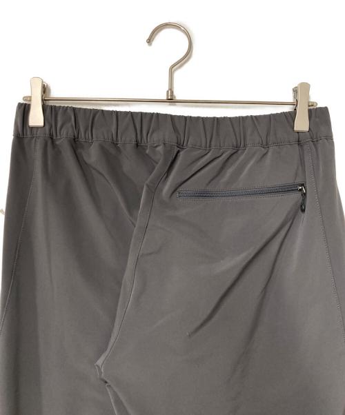 THE NORTH FACE（ザ ノース フェイス）THE NORTH FACE (ザ ノース フェイス) Alpine Light pants グレー サイズ:Lの古着・服飾アイテム