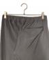 中古・古着 THE NORTH FACE (ザ ノース フェイス) Alpine Light pants グレー サイズ:L：6000円