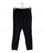 THE NORTH FACEザ ノース フェイス）の古着「トレーニングリブパンツ」｜ブラック