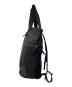 Patagonia (パタゴニア) テラヴィア・トート・パック 24L ブラック：10000円