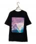 stussy (ステューシー) プリントTシャツ ブラック サイズ:Ｍ：5000円