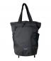 Patagonia（パタゴニア）の古着「テラヴィア・トート・パック 24L」