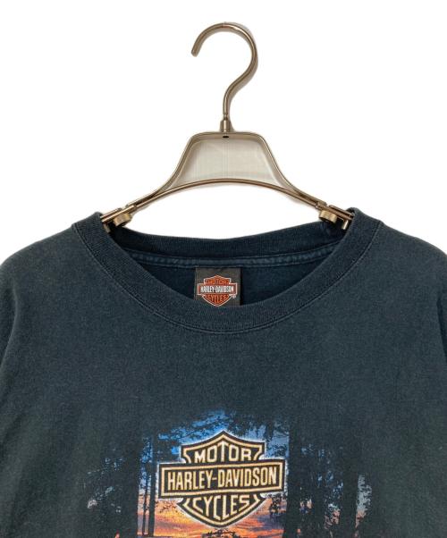 HARLEY-DAVIDSON（ハーレーダビッドソン）HARLEY-DAVIDSON (ハーレーダビッドソン) Hanes (ヘインズ) プリントTシャツ ブラック サイズ:Lの古着・服飾アイテム
