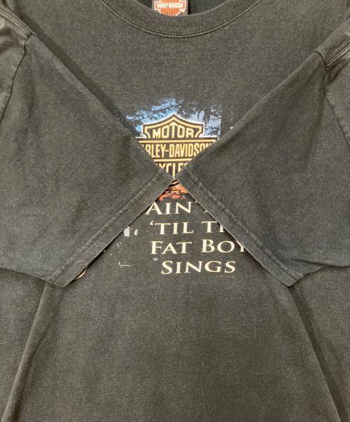 HARLEY-DAVIDSON（ハーレーダビッドソン）HARLEY-DAVIDSON (ハーレーダビッドソン) Hanes (ヘインズ) プリントTシャツ ブラック サイズ:Lの古着・服飾アイテム