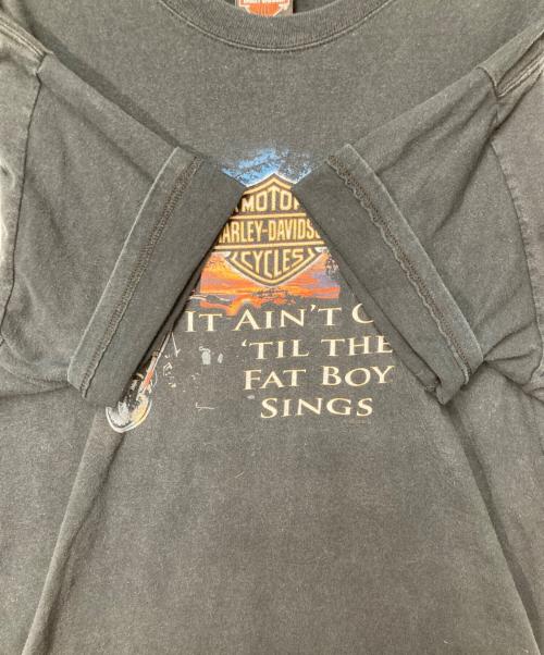 HARLEY-DAVIDSON（ハーレーダビッドソン）HARLEY-DAVIDSON (ハーレーダビッドソン) Hanes (ヘインズ) プリントTシャツ ブラック サイズ:Lの古着・服飾アイテム