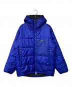 Patagoniaパタゴニア）の古着「DAS PARKA」｜セイロンブルー