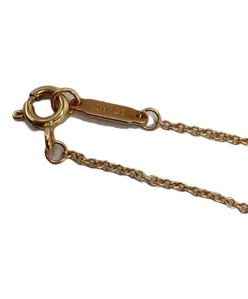 TIFFANY & Co.（ティファニー）Tiffany & Co. (ティファニー) アトラスキー ペンダントネックレスの古着・服飾アイテム