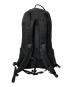 ARC'TERYX (アークテリクス) Arro 22 Backpack ブラック：15000円