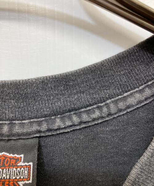 HARLEY-DAVIDSON（ハーレーダビッドソン）HARLEY-DAVIDSON (ハーレーダビッドソン) イーグルプリントTシャツ ブラック サイズ:Lの古着・服飾アイテム