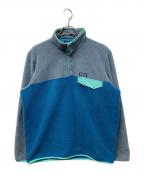 Patagoniaパタゴニア）の古着「ライトウェイトシンチラスナップTプルオーバー」｜グレー×ブルー