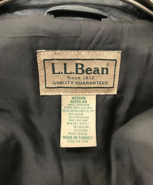 L.L.Bean（エルエルビーン）L.L.Bean (エルエルビーン) A-2 type フライトジャケット グレー サイズ:Mの古着・服飾アイテム