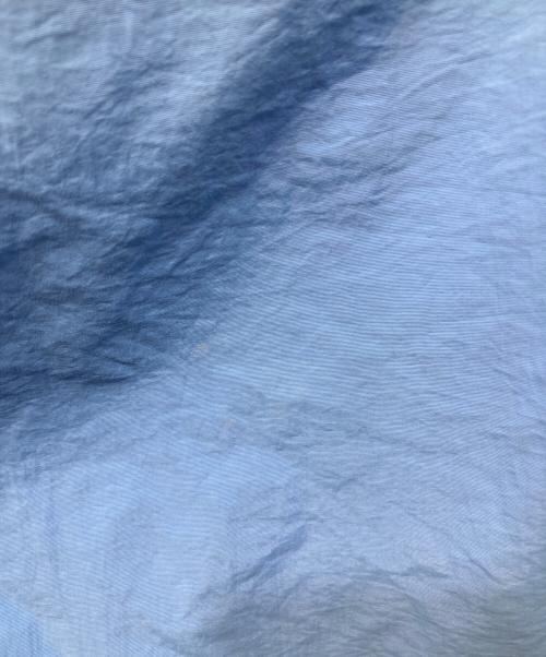 WASTED YOUTH（ウェイステッドユース）WASTED YOUTH (ウエステッド ユース) ナイロンハーフパンツ ブルー サイズ:Mの古着・服飾アイテム