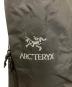 中古・古着 ARC'TERYX (アークテリクス) BETA AR PANT ブラック サイズ:M：21000円
