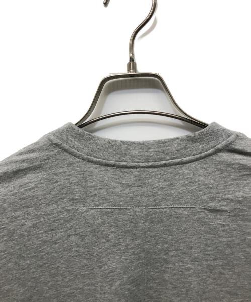 GIVENCHY（ジバンシィ）GIVENCHY (ジバンシィ) ロットワイラープリントTシャツ グレー サイズ:XSの古着・服飾アイテム