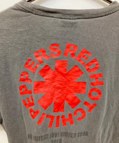 RED HOT CHILI PEPPERS（レッドホットチリペッパーズ）RED HOT CHILI PEPPERS (レッドホットチリペッパーズ) 2024年ツアーTシャツ グレー サイズ:Lの古着・服飾アイテム