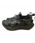 NIKE ACG (ナイキエーシージー) MOUNTAIN FLY LOW GTX SE DK SMOKE ブラック サイズ:US8：14000円