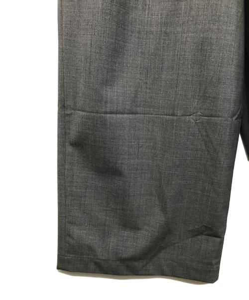 THE NORTH FACE（ザ ノース フェイス）THE NORTH FACE (ザ ノース フェイス) コヨーテワイドスラックス グレー サイズ:L 未使用品の古着・服飾アイテム