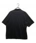 TEATORA (テアトラ) CAPSULESNAP POLO SHIRT DR  TT-POLO-DR ブラック サイズ:4：13000円