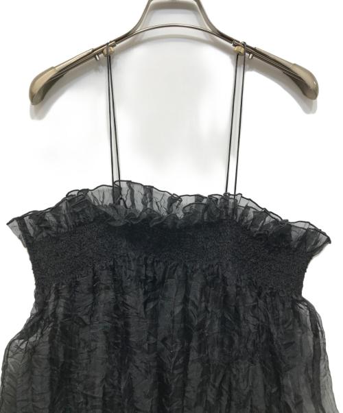 LEINWANDE（ラインヴァンド）LEINWANDE (ラインヴァンド) Recycle Organdy Pleats Dress ブラック サイズ:Freeの古着・服飾アイテム