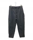 COMME des GARCONS HOMME PLUSコムデギャルソンオムプリュス）の古着「サイドラインウールパンツ」｜グレー