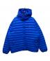 Patagonia（パタゴニア）の古着「ダウンセーターフルジップフーディ」｜ブルー