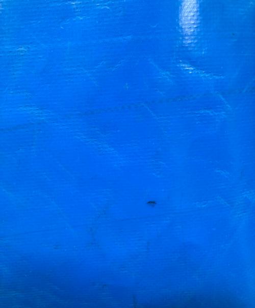 FREITAG（フライターグ）FREITAG (フライターグ) F90 DELGADO トートバッグ ブルー×ホワイトの古着・服飾アイテム