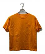 ARC'TERYXアークテリクス）の古着「クラッグ コットン リトルバード クルー ショートスリーブ」｜オレンジ
