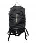 SALOMON（サロモン）の古着「TRAILBLAZER 10 リュック」｜ブラック