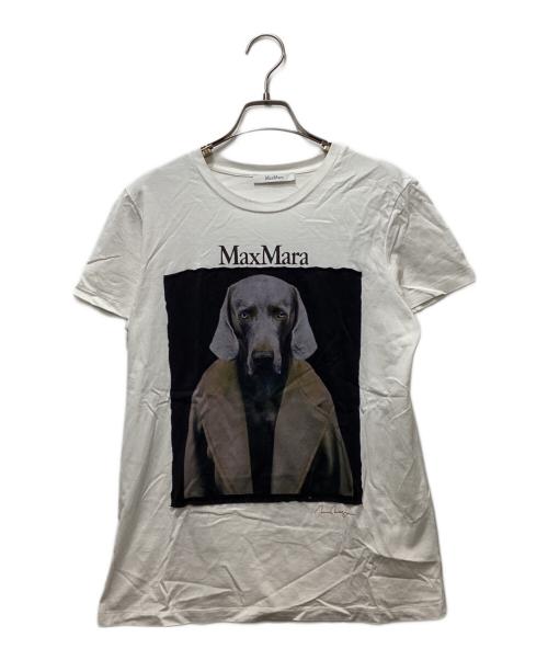 MaxMara（マックスマーラ）MaxMara (マックスマーラ) 26AW ワイマラナー ドッグプリント コットンジャージーTシャツ 2319410831 679 / 表参道店＆オンライン限定 開店記念Tシャツ ホワイト サイズ:Mの古着・服飾アイテム