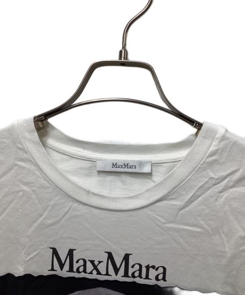 MaxMara（マックスマーラ）MaxMara (マックスマーラ) 26AW ワイマラナー ドッグプリント コットンジャージーTシャツ 2319410831 679 / 表参道店＆オンライン限定 開店記念Tシャツ ホワイト サイズ:Mの古着・服飾アイテム