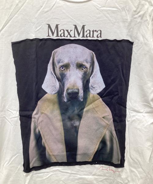 MaxMara（マックスマーラ）MaxMara (マックスマーラ) 26AW ワイマラナー ドッグプリント コットンジャージーTシャツ 2319410831 679 / 表参道店＆オンライン限定 開店記念Tシャツ ホワイト サイズ:Mの古着・服飾アイテム