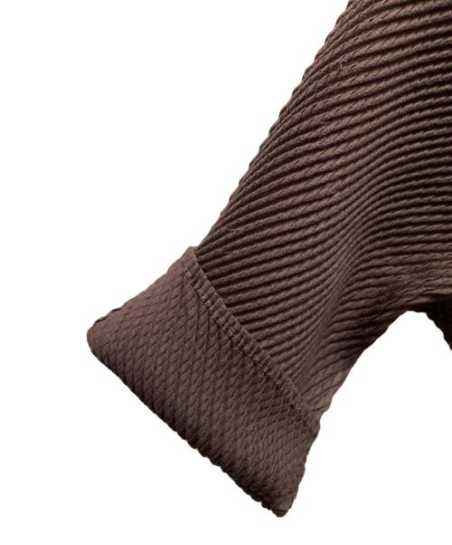 ISSEY MIYAKE（イッセイミヤケ）ISSEY MIYAKE (イッセイミヤケ) プリーツブラウス ブラウン サイズ:3の古着・服飾アイテム