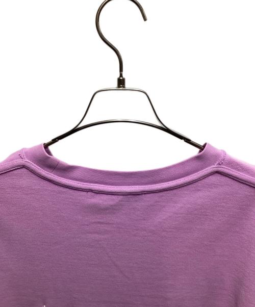 ANDERSSON BELL（アンダーソンベル）ANDERSSON BELL (アンダーソンベル) インサイドアウト ロングスリーブカットソー ピンク サイズ:FREEの古着・服飾アイテム