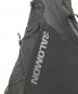 中古・古着 SALOMON (サロモン) ADV CROSS BODY BAG　SBSS2610035 ブラック：22000円