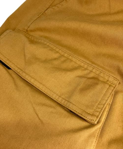 NIKE ACG（ナイキエーシージー）NIKE ACG (ナイキエージーシー) WOVEN CARGO PANTS/ウーブン カーゴ パンツ ブラウン サイズ:Sの古着・服飾アイテム