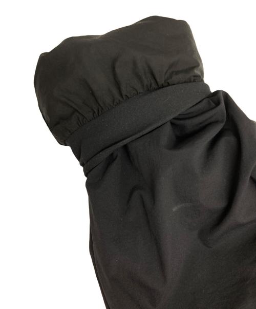 ARC'TERYX（アークテリクス）ARC'TERYX (アークテリクス) Proton Hoody/プロトン フーディ ブラック サイズ:L/Gの古着・服飾アイテム